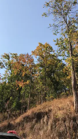 @bullet rajja. @Subash Subash @@ 🥷 Black 🍁__&__😈__Nenja @GURUNG BOSS🤟 @कान्छा:)👑❤️‍🩹 @,हामी सिदै ,सुनवल ,बाट 🤟❣️ 