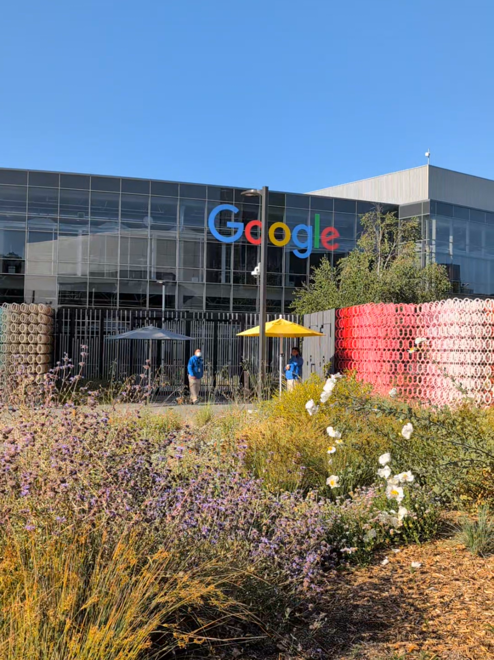 Visited Google HQ under the clear California sky. Couldn’t have asked for a better day! #Google #CaliforniaVibes #SunnyDay#グーグル 