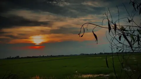 #CapCut hôm nay thế giới quá âm ưu.. #hanho #dapancuaban #nhacchill #hoanghon 