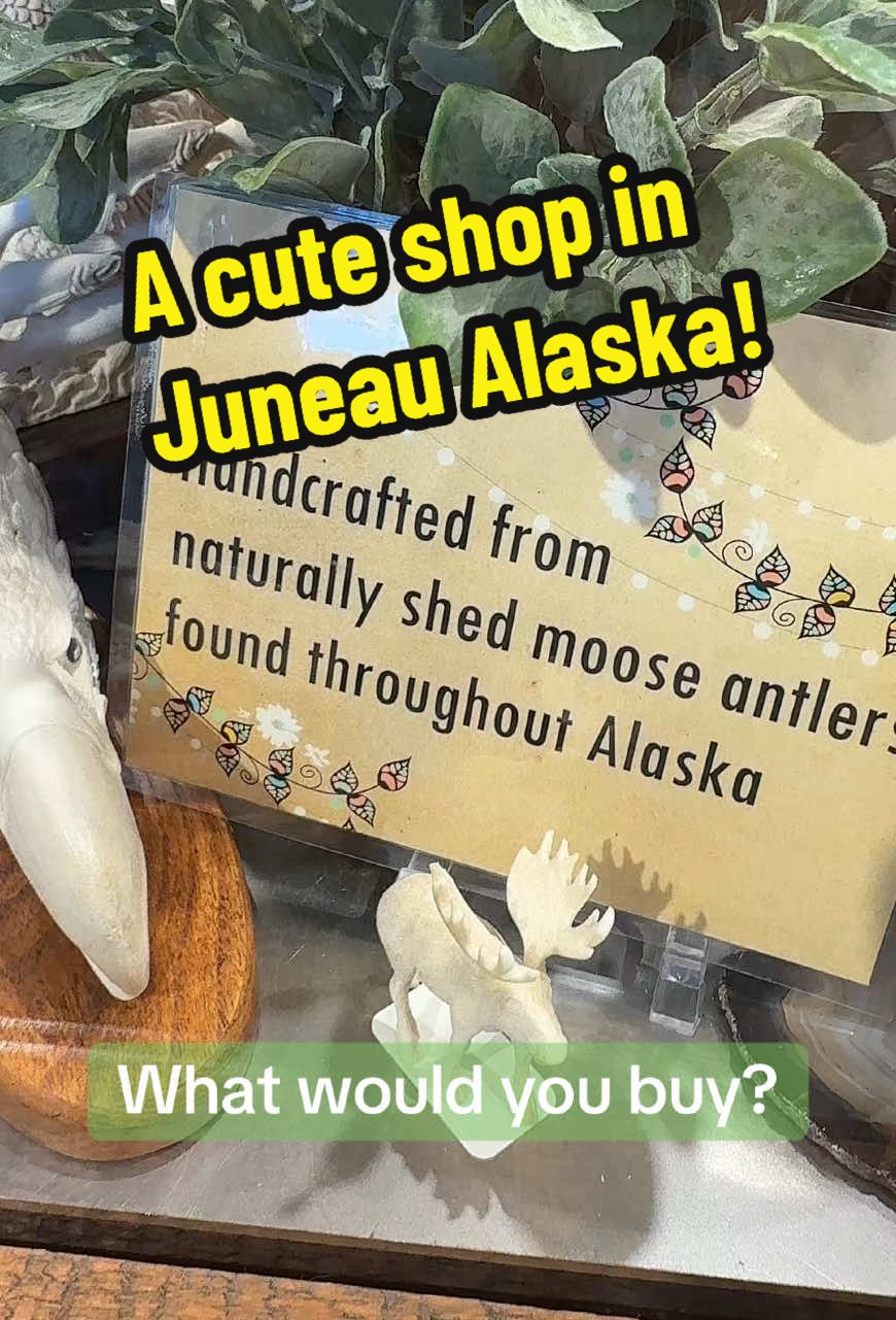 #giftshop #alaska #cruise #fyp 