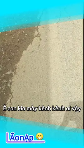 Kênh rồi sao 🤣 #laonap 