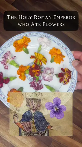 Frederick II’s Candied Flowers (c. 13th century) A delicacy fit for the emperor who ruled Sicily, spoke Arabic, and once kept a zoo of exotic beasts. These candied flowers would’ve felt right at home in his court- delicate, perfumed, and impossibly pretty. And it tastes… like sweet grass. Ingredients: Edible flowers, sugar, water. #fyp #history #cooking #medieval #historicalcooking #foodhistory #eats #edibleflowers #frederickII #hohenstaufen #sugarart #historicalfood #weirdrecipes #candiedflowers #medievaldessert #sweetsfromthepast #europeanhistory #historical #historybuff #recipe 