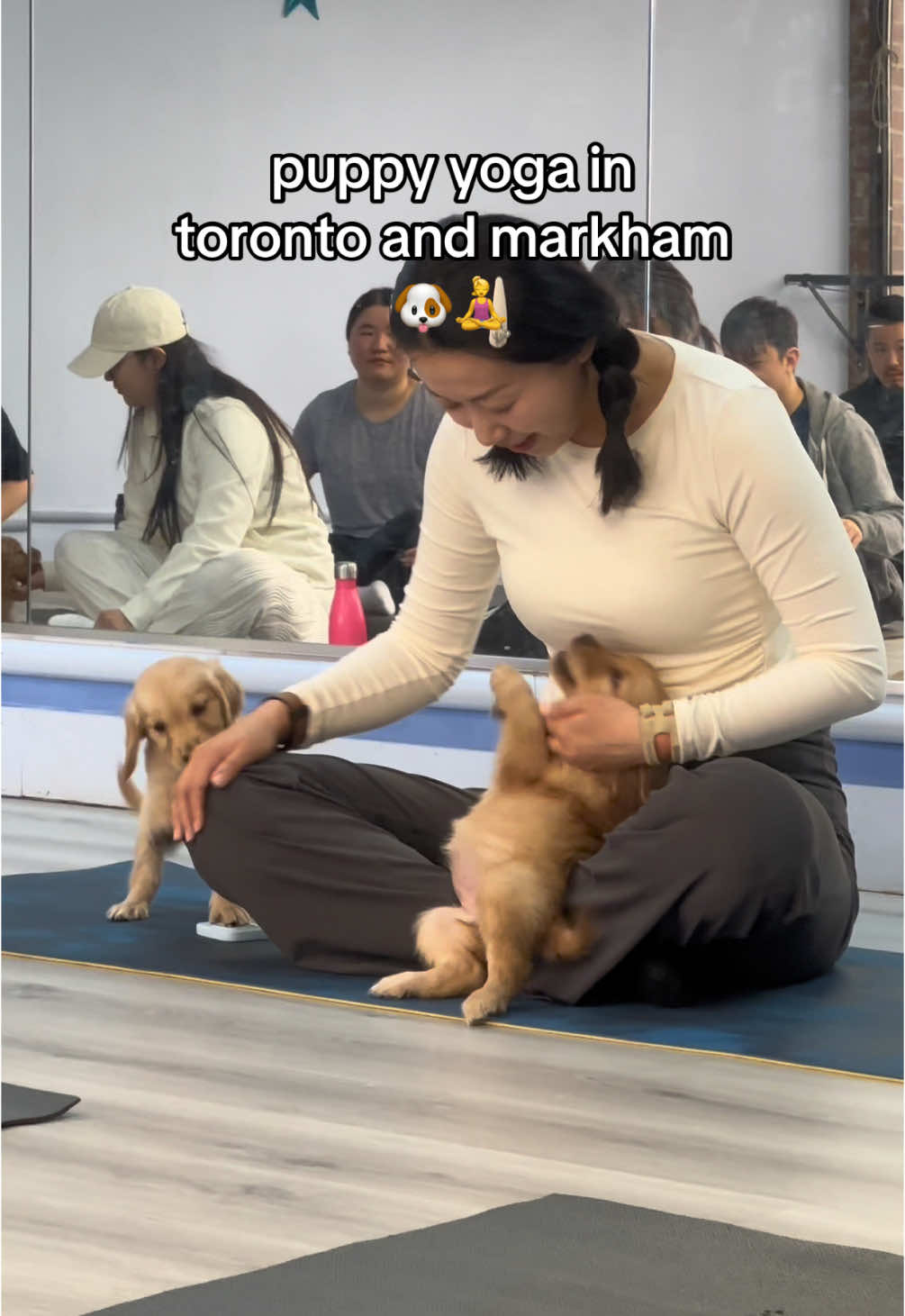 finally tried puppy yoga and it’s so stinking cute!!   the puppies just played and took naps as we did yoga haha  @kittypupyoga  #toronto #torontolife #thingstodo #thingstodotoronto #yoga #puppyyoga #puppyyogatoronto #thingstodointoronto #datenight #dateideas #fyp 