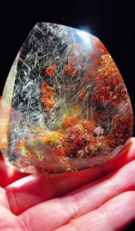 Have you ever seen a crystal like this? Golden rutile garden quartz 😃🤩 #gardenquartz #crystals #rarecrystals #goldenrutilatedquartz #highqualitycrystals 