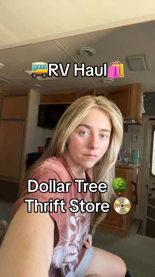 #camping #rv #dollartree #thrifting #dvds #haul 