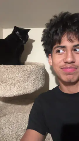 Meow