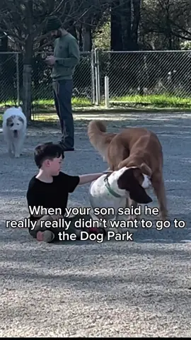 A little over a year later  and he’s still the sweetest  boy… #bassethound #doglover #dogsofttiktok #animalsoftiktok #kidsoftiktok #momlife #boymom #parentingtips #parenting 