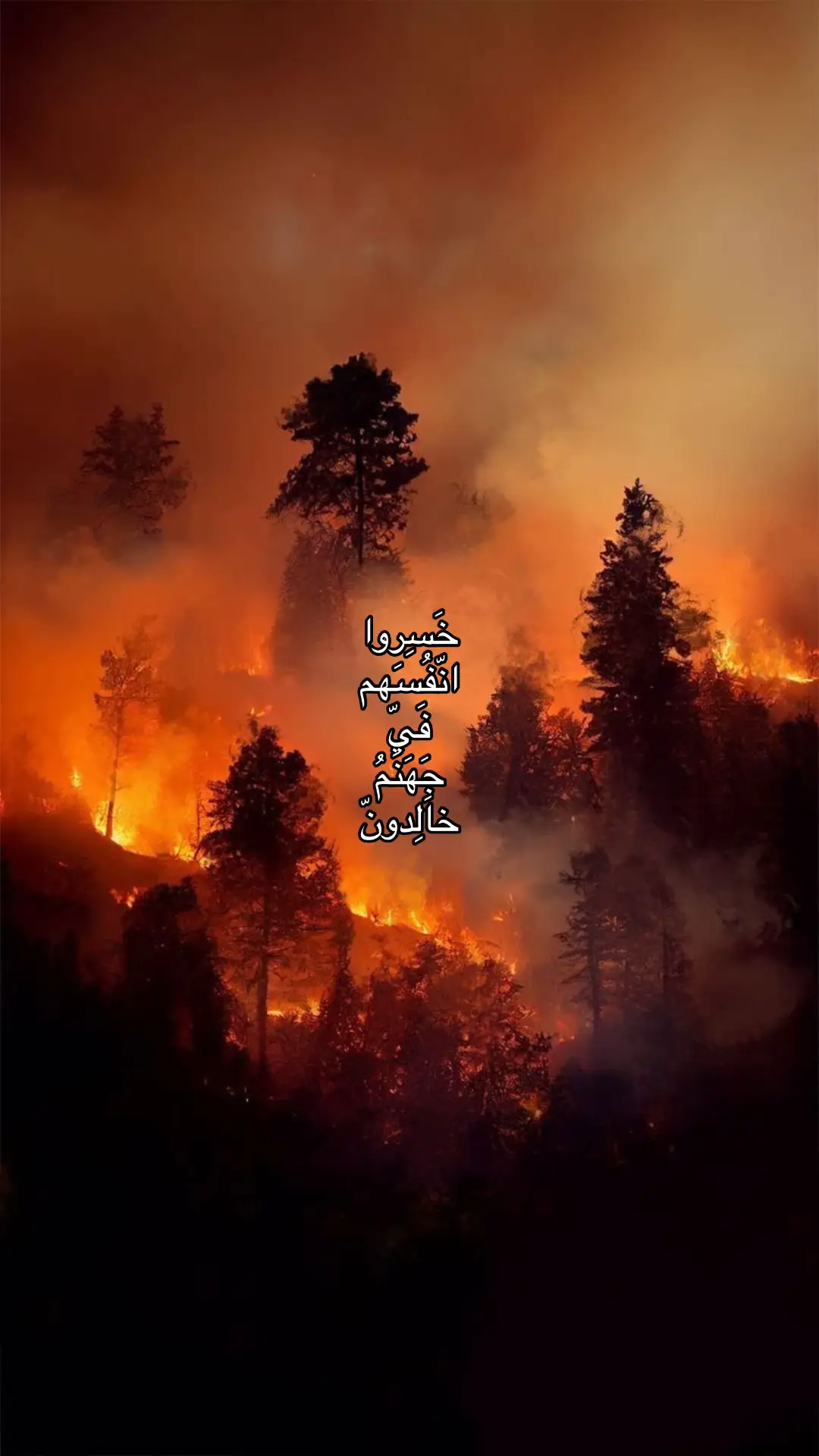 #fyp #foryou #quran #اكسبلور #الحمدلله_دائماً_وابداً #اللهم_صل_وسلم_على_نبينا_محمد #قران #oops_alhamdulelah 
