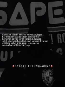 #agen202 #sapetitulungagung #jiwotemurose #sapetinusantara 