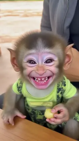 #Monkey #CuteMonkeys #MonkeyLife #WildlifeWednesday #AnimalLovers #PrimatesOfTikTok #FunnyMonkeys #NatureLovers #ZooAdventures #MonkeyMagic Monkey bibi latest video #babymonkey #cutebaby #monkey #animal #monkeydluffy #monkeysoftiktok #fypシ゚viral #foryou #unitedkingdom 