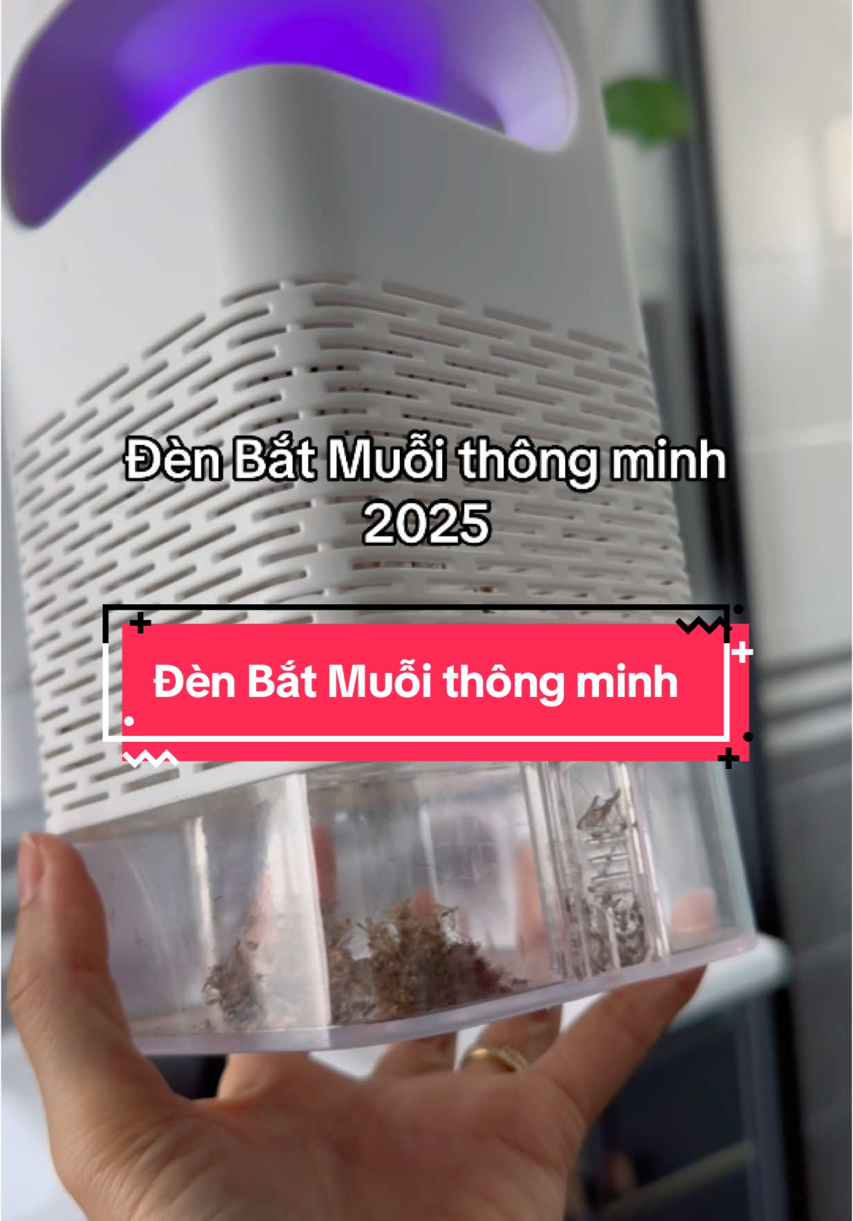 #muỗi #đènbắtmuỗi #đènbắtmuỗithôngminh #muỗichích #sốtxuấthuyết 