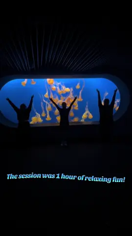 🐟Yoga with the Fishes 🐠 #yoga #fishes #montereybayaquarium #montereybay #thingstodoinmonterey  @MontereyBayAquarium 