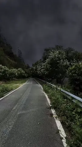 you taking a walk?  #followformore👉🏽👉🏽 #fypシ゚viral #fyp #peaceful #natureaesthetic🌿🍀☘️✨ #rain #thunderstorm #stormaesthetic #fyp 