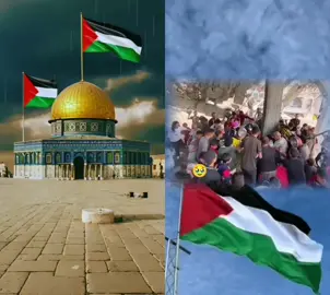 #duo avec @𝑺𝖆𝖗𝖏𝖆𝖓𝖎 ᴬᶜᵉʰ⁵¹⁴¹💃🔥💥 #plestine🇵🇸 