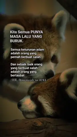 #creatorsearchinsights #katakatabijakmotivasi #katakatabijaksana #katakatabijakkehidupan #katakatamotivasi #katakatamotivasidiri #katakatamotivasihidup #fyp #fypシ゚viraltiktok 