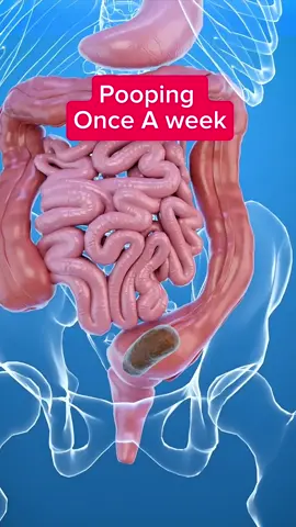 What your body says about you if you only poop once a week. #poop #body #usa🇺🇸tiktok 