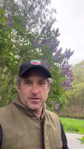 🎥 Patrick Dempsey enjoying the lilacs in bloom in Maine recently. • • • #patrickdempsey #likacs #spring #maine 