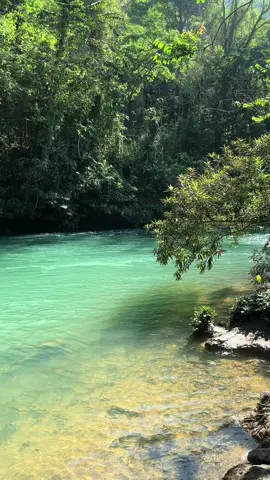 Khu cắm trại tự túc Vườn Điều #xuhuong #langau #bìnhthuận86 #bctm #camping #suối #notnhacthoithanhxuan #xuhướng #xuhuongtiktokk #khucamtraitutucvuondieu 
