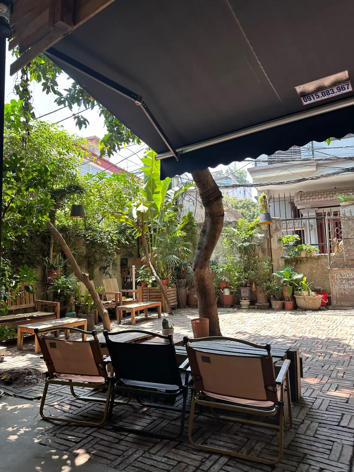 thích ngồi cafe mấy quán vintage nhiều cây xanh kiểu vầy chill vch 🍂 #chilldeecoffee #coffeetime #cafehanoi 