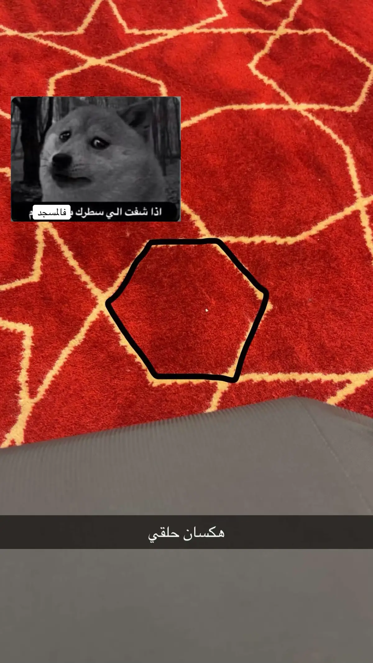 #تحصيلي #اينشتاين #مذاكره #ربط_تحصيلي #تجميعات_تحصيلي #تسريبات #دفعه_2025 