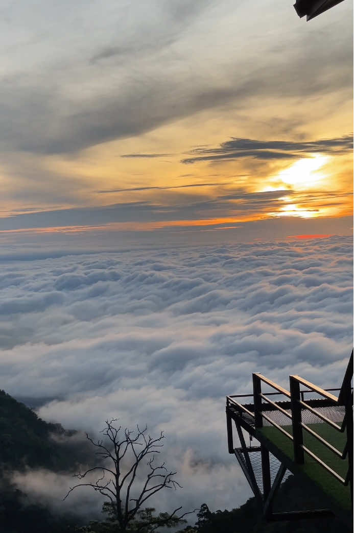 ทะเลหมอกวันนี้ที่ดาวพันแสง22/5/68☁️⛰️#ทะเลหมอกภูทับเบิก #ภูทับเบิก #ที่พักภูทับเบิก #ธรรมชาติบําบัด #เที่ยวไปเรื่อย #การเดินทาง