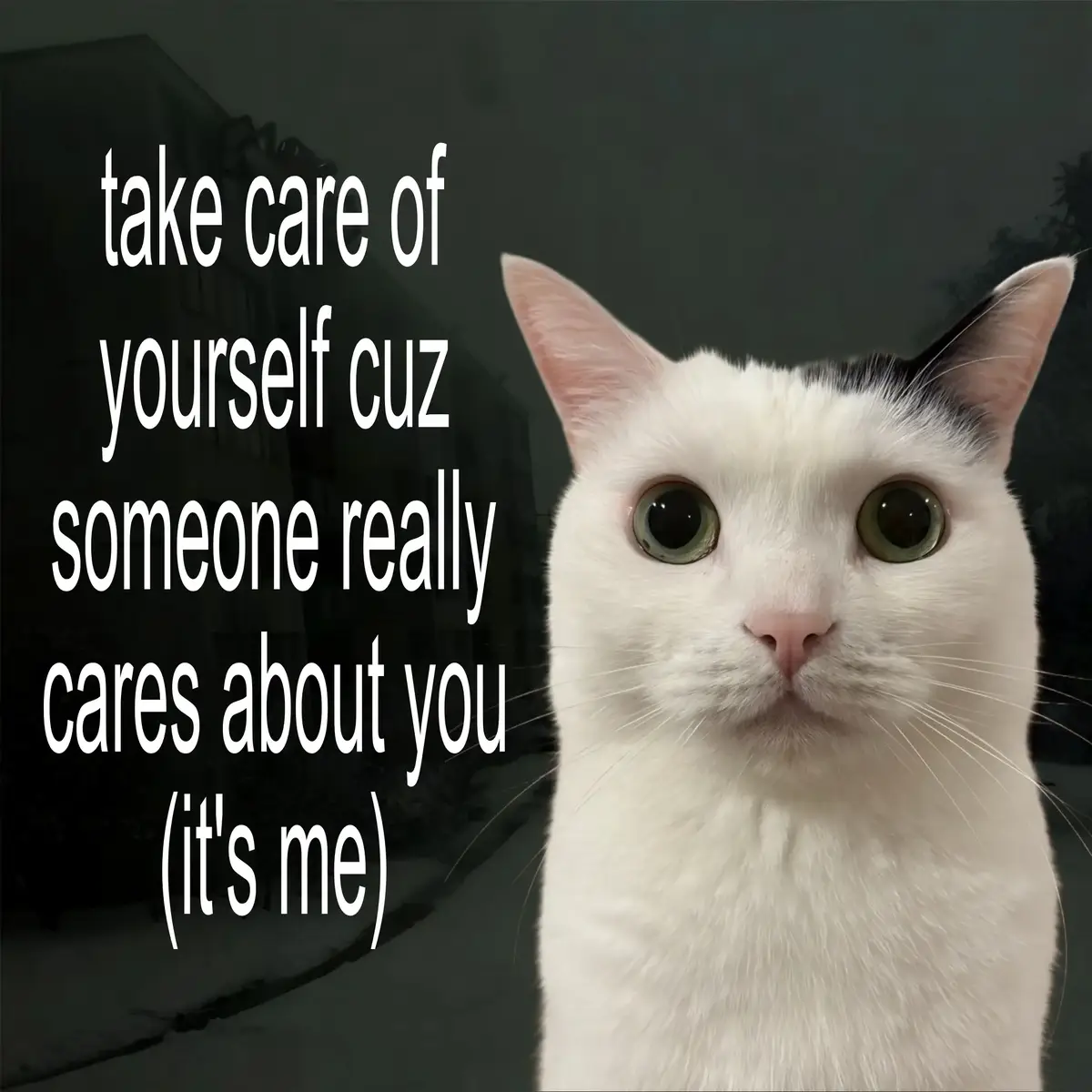 #relatable #relatablecontent #lovecore #streak 