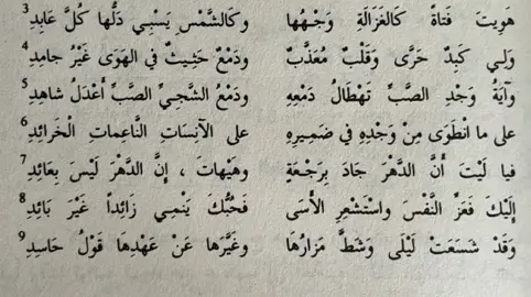 هويت فتاةً كالغزالة وجهها  وكالشمس يسْبي دلُّها كل عابدِ💜 #ذلاقة #قيس_بن_الملوح #fyp ##فصحى##foryou##الشعب_الصيني_ماله_حل😂😂