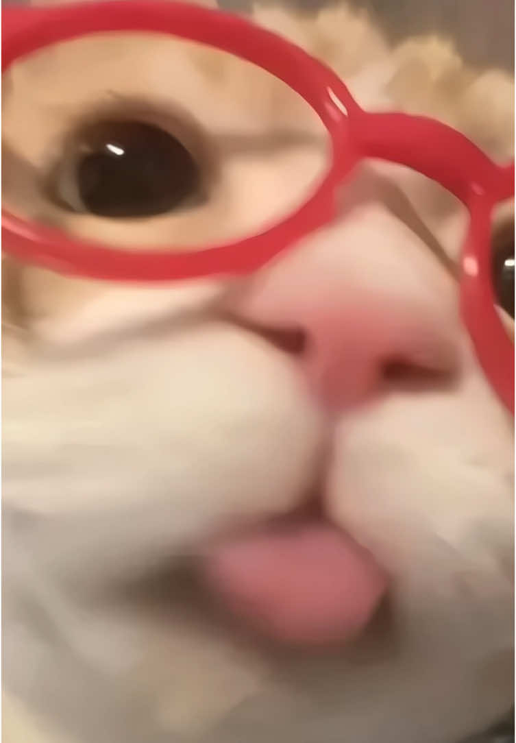 แบร่