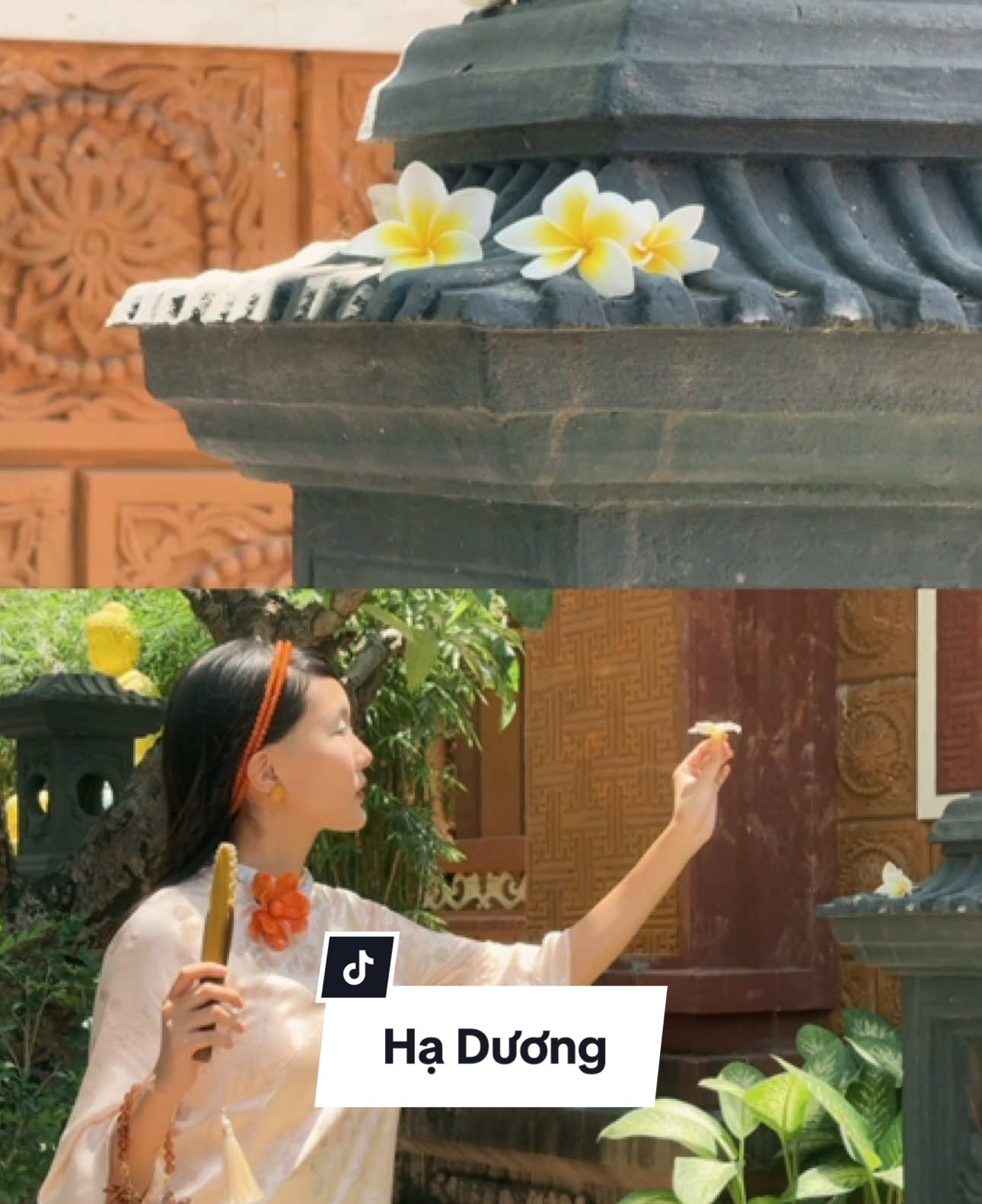 Hạ Dương ❤️