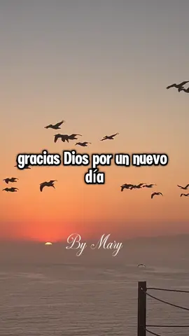 Buenos días 🙏🏻 😃☀️🌞 #reflexion #Dios #amor #amorpropio #fe #reflexiones #vida #paz #buenosdias 