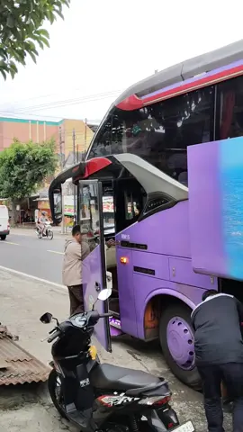 🐬 @Restu Mulya Blitar  #fypシ゚ #fyp #fypage #restu #busrestu #restumulya 