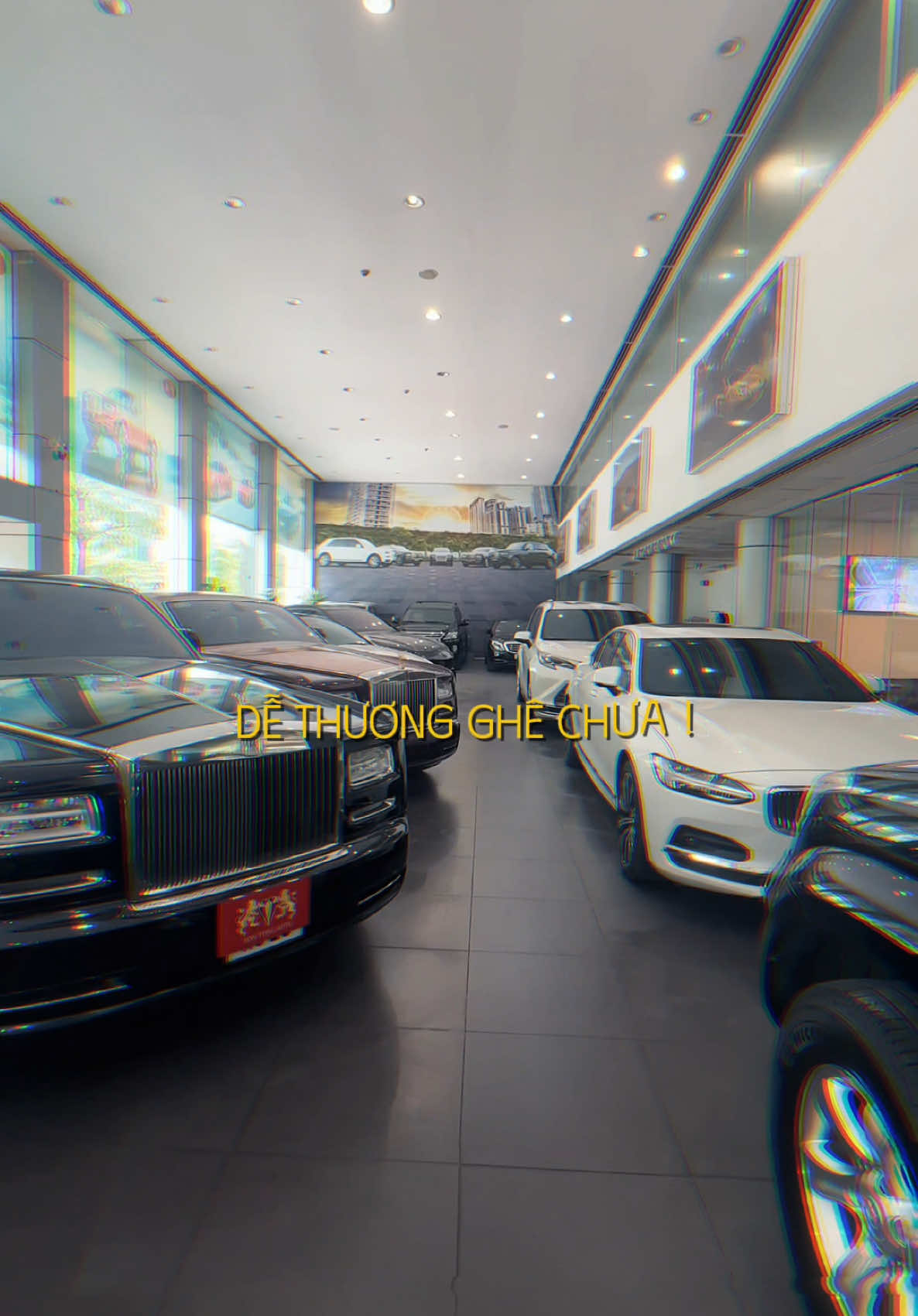 Chời đất ơi coi dễ thương ghê hong #SonTungAuto #samhueminh #luxurycars #xesang #lamborghini #viral #xuhuong 