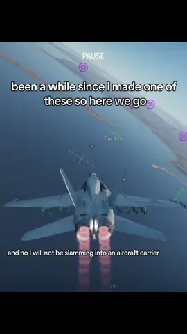 #fyp #fypシ #crazy #aviation #warthunderplanes #f18hornet #millitary #tylerthecreator 