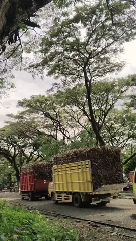 perdana pg mojopanggung 🙈🤭#tulungagung24jam #templatecapcut #fyppppppppppppppppppppppp #trukmodifikasi #sopirtrukpunyacerita #fypシ゚viral 