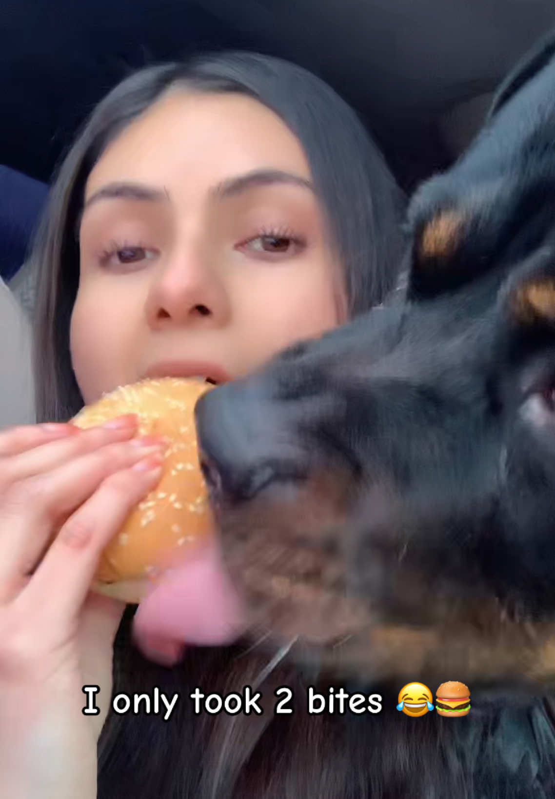 Sharing is caring 😂 (plain cheese burger) #fyp #dogmom #fypシ #jajaja #haha #dogsoftiktok #cheeseburger #burgerking #foodies #foodtiktok #yum #sharingiscaring #latina #latinastiktok #latinadogmom #yesicamacheee #tiktoker #tiktokcreator #creatorsearchinsights #washington #washingtonstate #winter #fypシ゚viral #xyzbca #tiktok #tiktokmexicano #julionalvarez #foryoupage #paratiiiiiiiiiiiiiiiiiiiiiiiiiiiiiii 