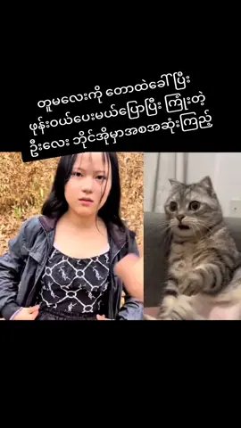 #entertainment #fypgggggggg #fouryou #fypシ゚ #shorts #nentdingvidio #viralvideo #funnyvideos #fyppppppppppppppppppppppp 