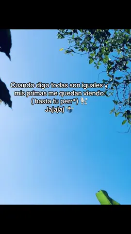 😼😂#humor#paratiiiiiiiiiiiiiiiiiiiiiiiiiiiiiii #tik_tok #vyral @Coronado Rodríguez ✨💫💚 @Tati🤍..!!🕷️ 