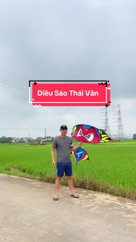 Siêu phẩm ếch đỏ bên mình cùng lô nan mới siêu cứng siêu bền #dieu #dieusaovietnam 