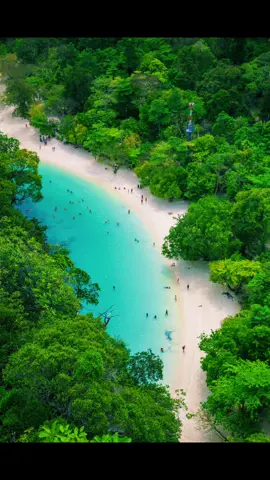 เกาะห้อง (เกาะเหลาบิเละ) เป็นส่วนหนึ่งของหมู่เกาะห้อง อุทยานแห่งชาติธารโบกขรณี ลักษณะเป็นเกาะเขาหินปูน ด้านหน้าเกาะมีหาดทรายโค้งคล้ายรูปนกบิน ทรายขาวละเอียด น้ำทะเลสีเขียวมรกตสวยและใสมาก สุดปลายหาดด้านหนึ่งมีทางเดินเป็นบันไดเหล็ก 419 ขั้น ขึ้นไปบนยอดเขาซึ่งเป็นจุดชมวิว 360 องศา สามารถมองเห็นชายหาดเกาะห้องที่อยู่เบื้องล่าง รวมทั้งหมู่เกาะต่าง ๆ#เกาะห้อง #travel #traveltiktok #travellife #traveling #tour #tourism #tourist #beach #beachday #life #Lifestyle #thailand #phuket #krabi #getyoutrip #relax #resort #hotel #trip 