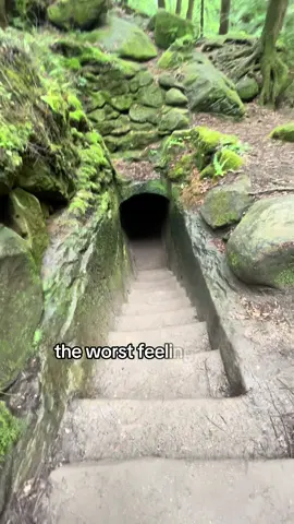 🎯 #soloadventures w/ #simplyshiny✨ #simplyhealing✨ #motivationalvideo #solohiking #hockinghills 