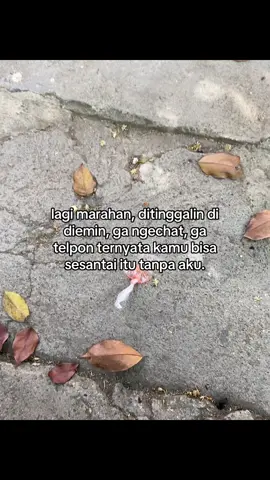 #galaubrutal 