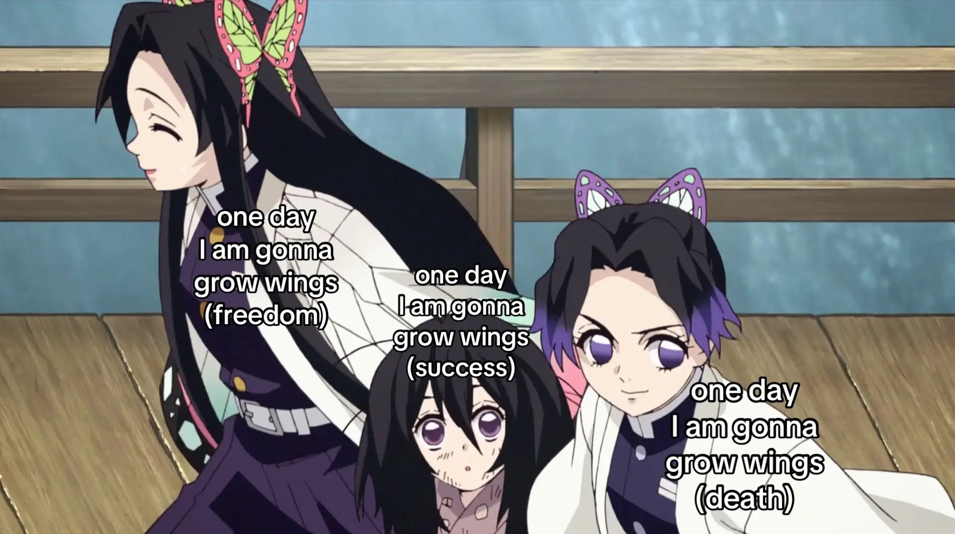 crazy how freedom and death were kind of the same thing for shinobu though (oh and aois version is giving up 💔)#kimetsunoyaiba #demonslayer #kny #shinobu #shinobukocho #kanao #kanaotsuyuri #kanae #kanaekocho #butterfly #fyp