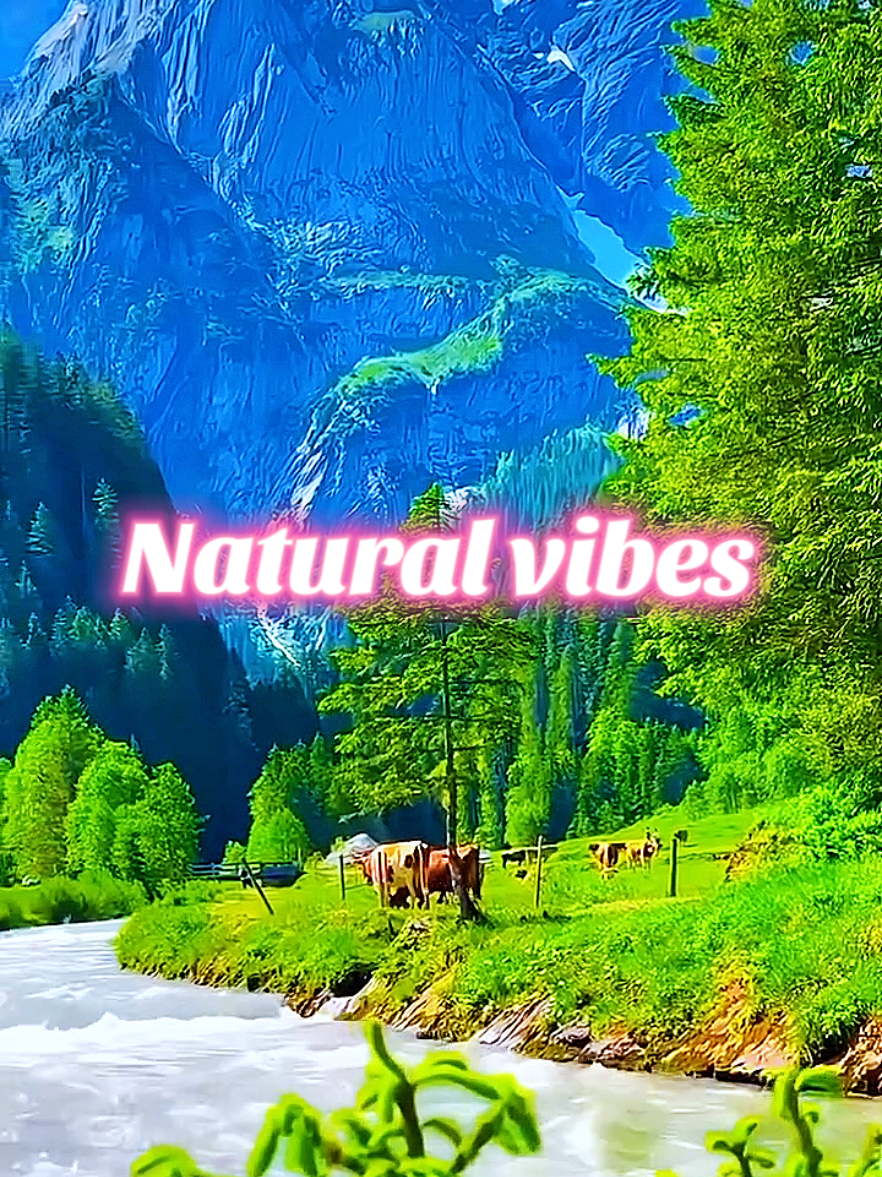 natural beauty ♥️  . . . .  #naturetravel #nature #naturephotography #travel #travelphotography #naturelovers #photography #travelgram #wanderlust #sunset #travelblogger #landscape #naturelover #traveltheworld #instatravel #explore #photooftheday #photo #wildlife #ig #adventure #captures #perfection #Love #mountains #world #instagram #goodvibes #travelling #trip #foryoupage #foryou #fypviral ##treading_viral_video #growmyaccount #viral_video #dontunderreviewmyvideo #foryoupage❤❤ #fypツ #fypシ゚viral 