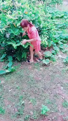 rồi rồi mầy xong với chị rồi #😂😂😂 