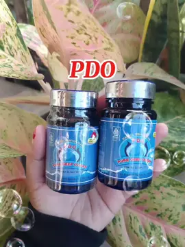 PDO minyak ikan #fyp #bismillahfyp#viraltiktok #masukberandafypシ #pdominyakikan354 #viraltiktok #mbahman354 