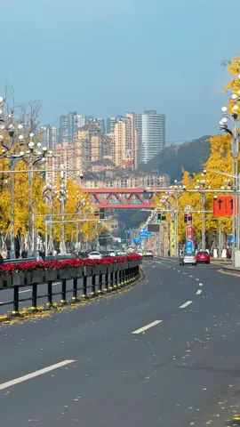 Beautiful Autumn Scenery Awaits You in Chongqing 🍁🍂 🎥:credit to XHS @ 雾必野 #china #chongqing 