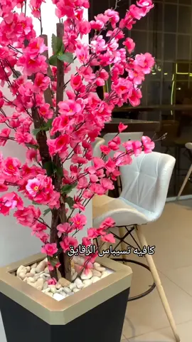 تسيباس عامل كافيه حلو في الزقازيق 😍🙋
