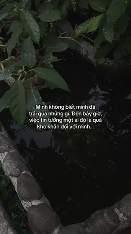 …#tamtrang #story 