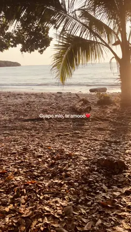 #amor 