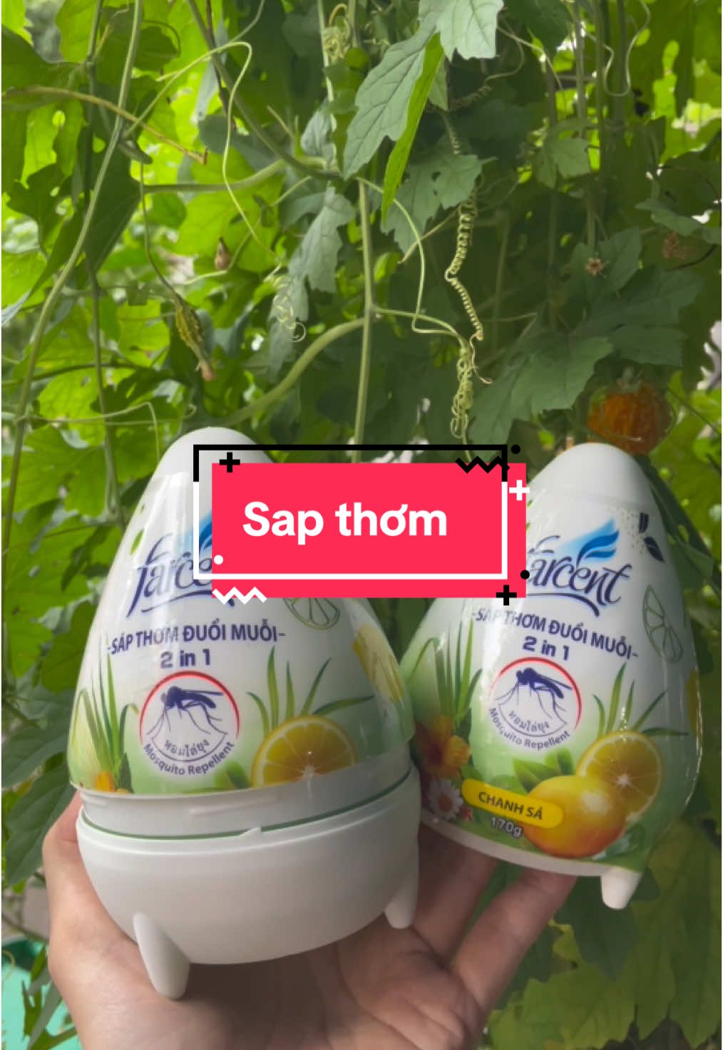 Thơm cả nhà #sapthom 